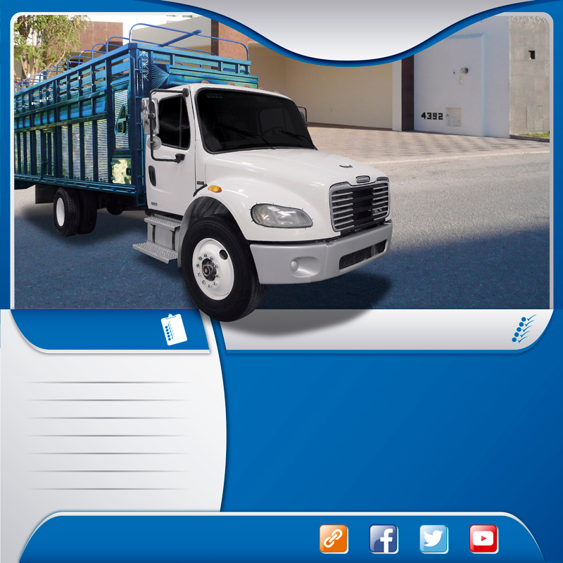  Transportes en camión rabon redilas fijas